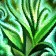 Crecimiento salvaje